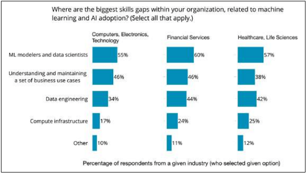 Biggest skill gaps within organizations
