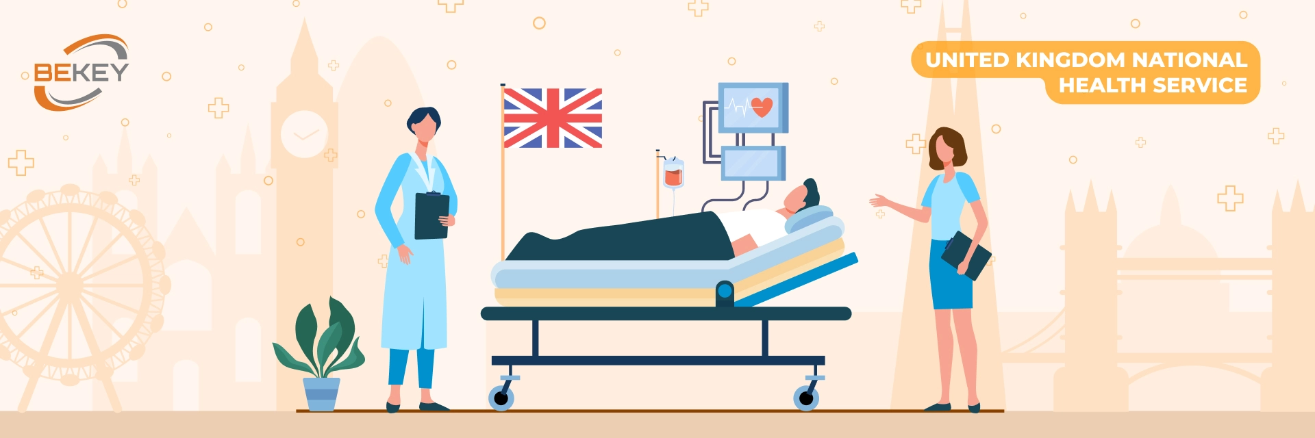 What is United Kingdom National Health Service - NHS 